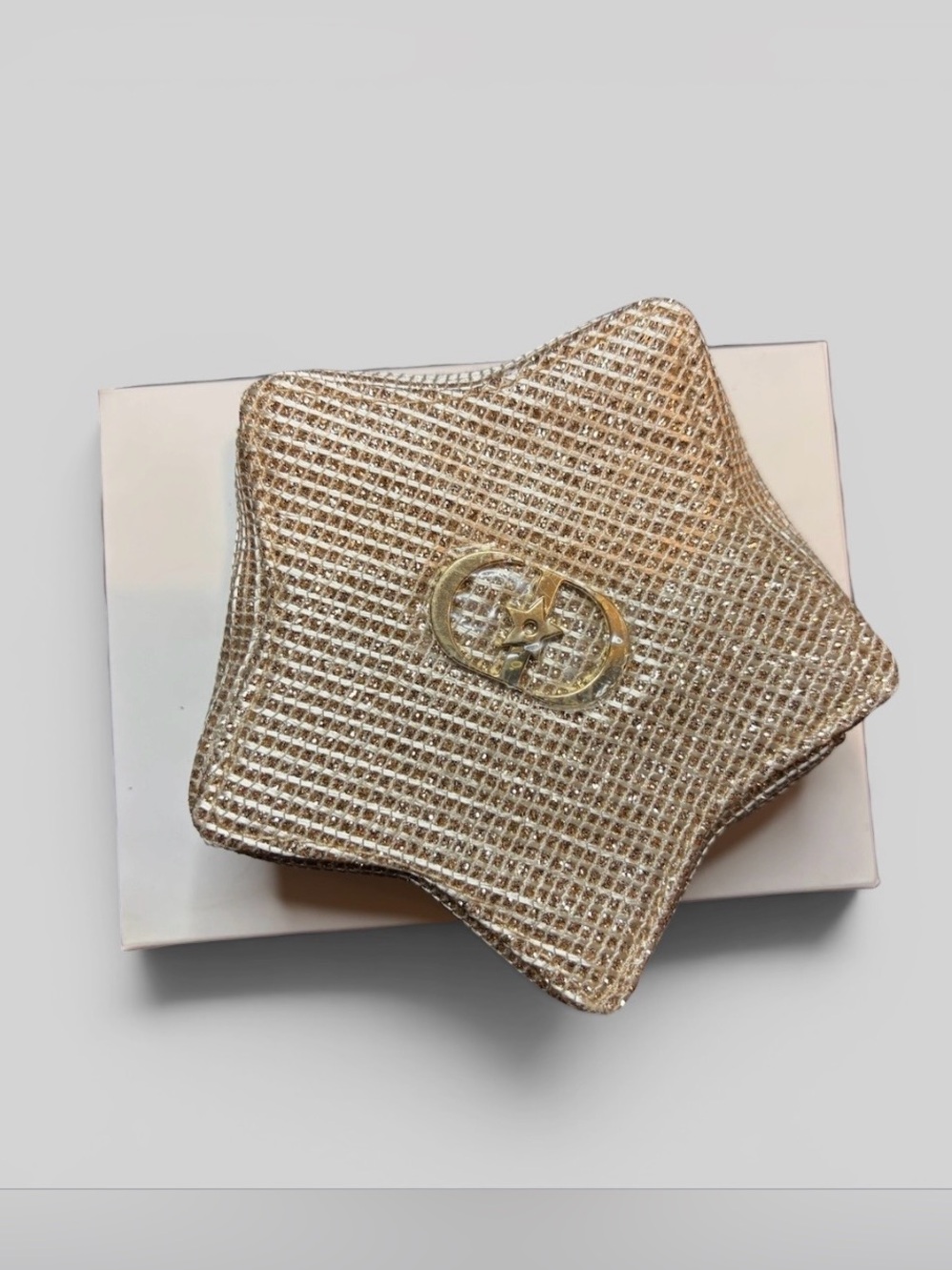 NIB Christian Dior Star Zip Pouch